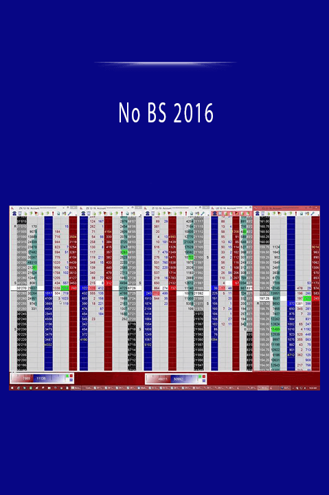 No BS Day Trading Webinar & Starter Course 2016 provides practical day trading strategies and techniques for profitable trading.